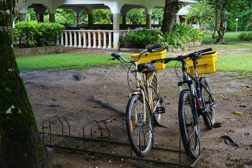 Chalet Bamboo Vert La Digue Bagian luar foto