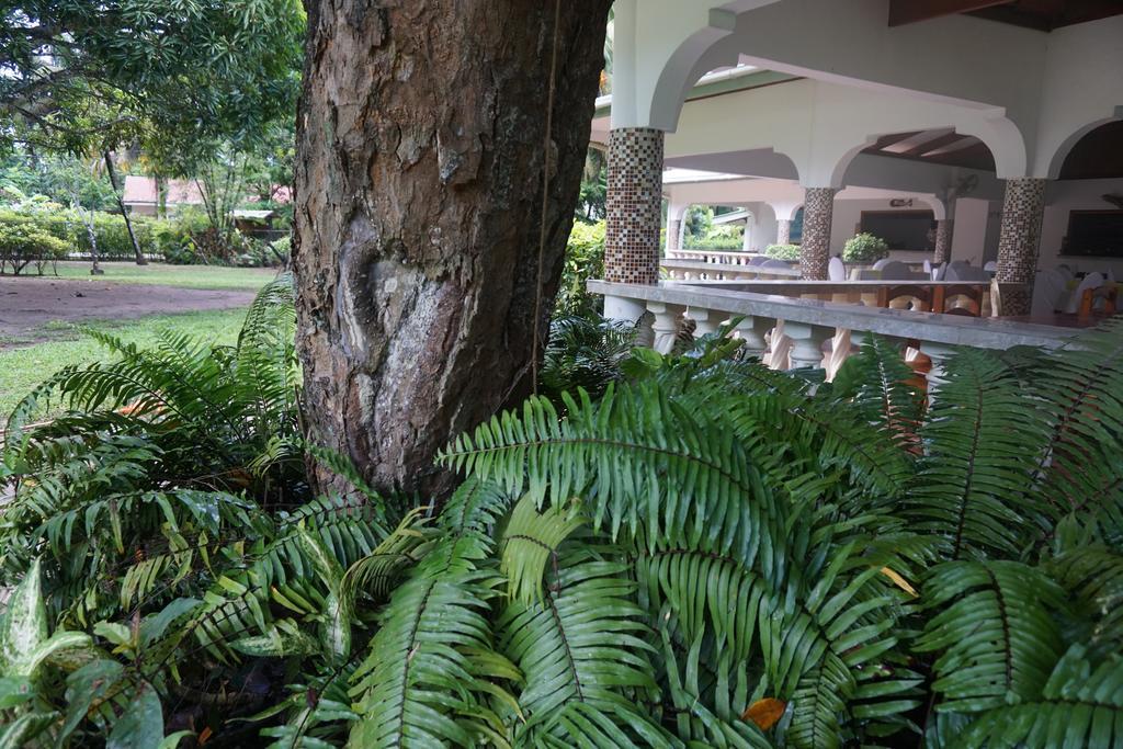 Chalet Bamboo Vert La Digue Bagian luar foto